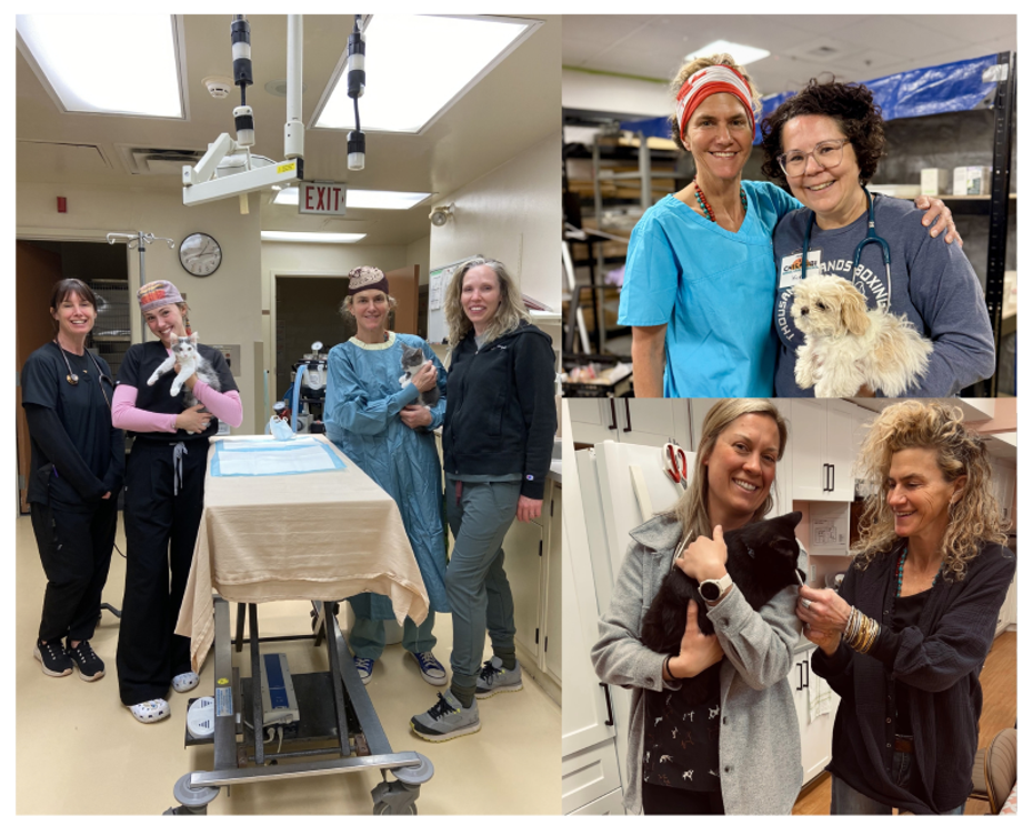vet techs
